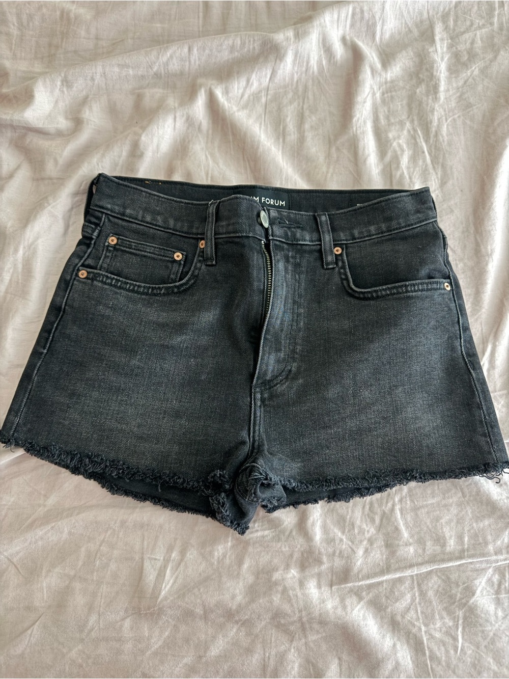 Aritzia Denim Forum Black Washed High-Rise Frayed Hem Denim Shorts